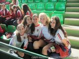 My Gallery (56/206)